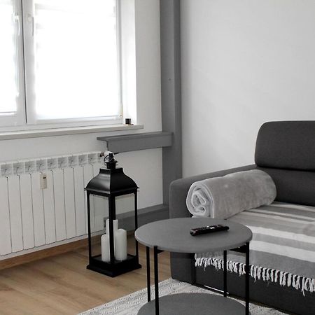 Apartament Perelka Przy Krupowkach ザコパネ エクステリア 写真