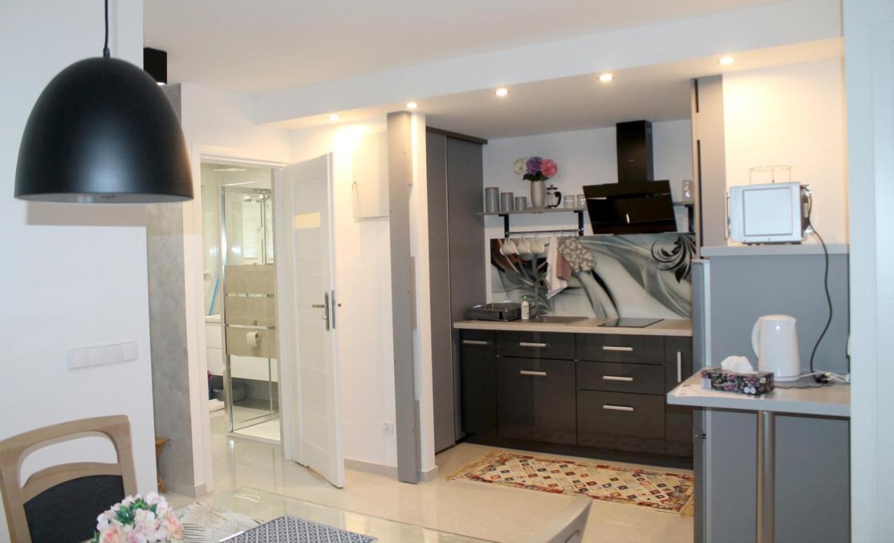 Apartament Perelka Przy Krupowkach ザコパネ エクステリア 写真